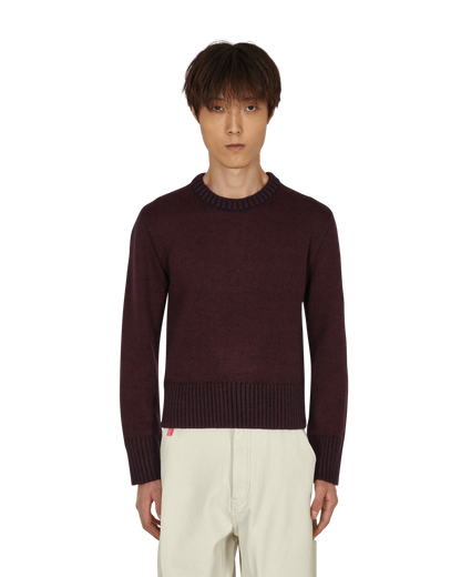 Maison Margiela Sweater Bordeaux Knitwears Sweaters S50GP0264S17850 248F